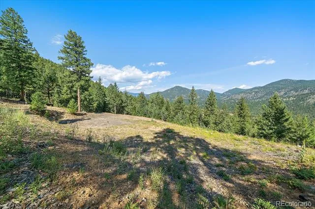 33844 Bergen View Trail Evergreen, CO 80439