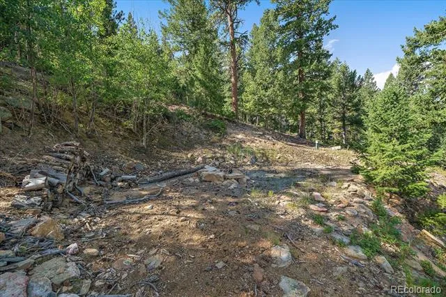 33844 Bergen View Trail Evergreen, CO 80439