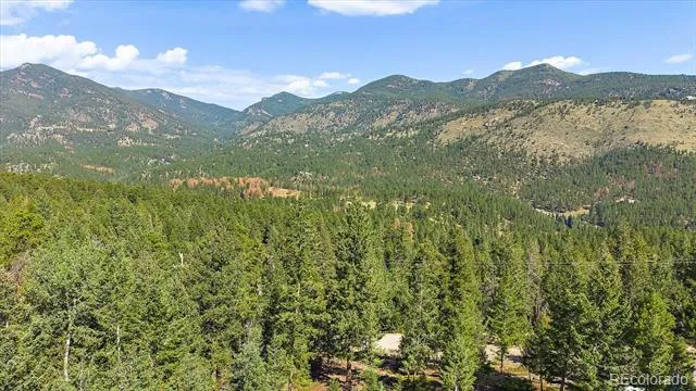33844 Bergen View Trail Evergreen, CO 80439