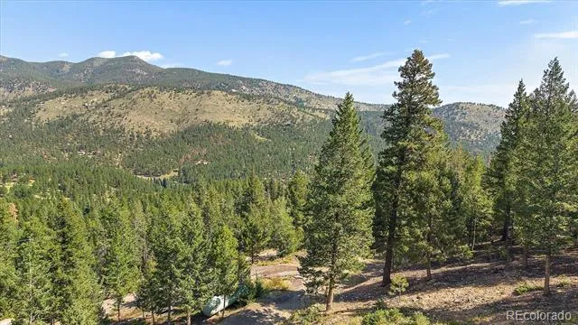33844 Bergen View Trail Evergreen, CO 80439