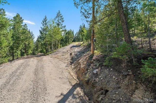 33844 Bergen View Trail Evergreen, CO 80439