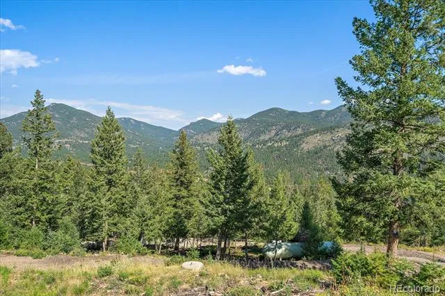 33844 Bergen View Trail Evergreen, CO 80439