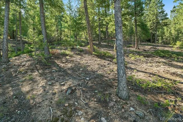 33844 Bergen View Trail Evergreen, CO 80439
