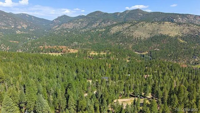 33844 Bergen View Trail Evergreen, CO 80439