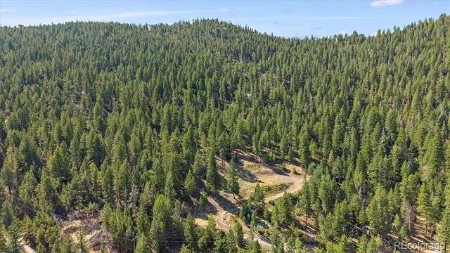 33844 Bergen View Trail Evergreen, CO 80439