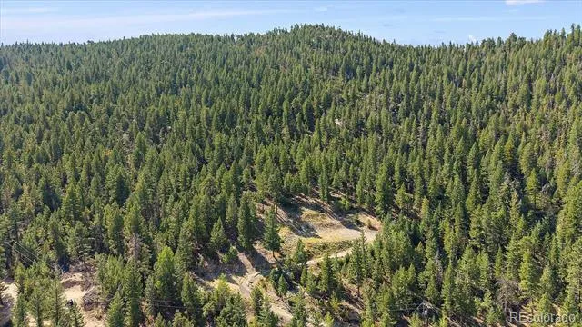 33844 Bergen View Trail Evergreen, CO 80439