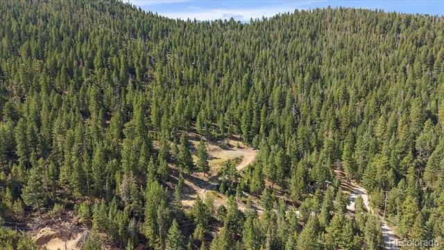 33844 Bergen View Trail Evergreen, CO 80439
