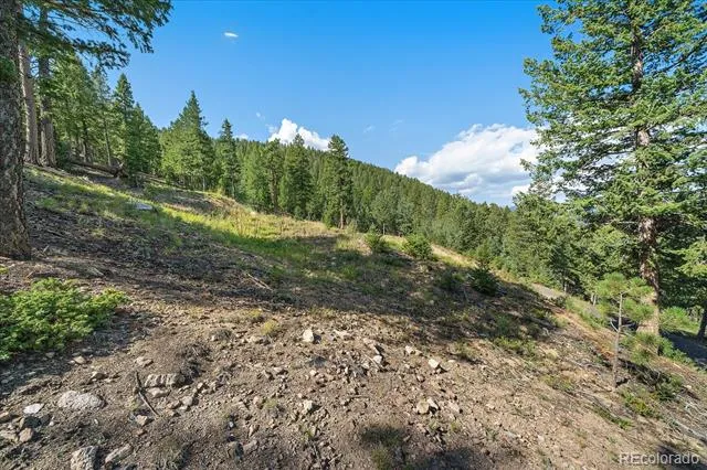33844 Bergen View Trail Evergreen, CO 80439