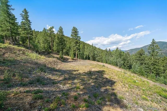 33844 Bergen View Trail Evergreen, CO 80439