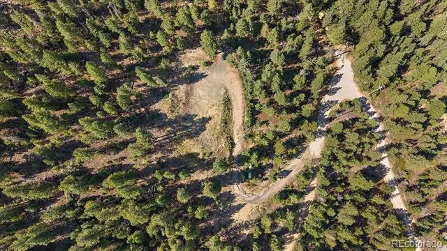 33844 Bergen View Trail Evergreen, CO 80439