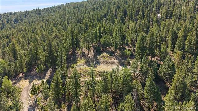 33844 Bergen View Trail Evergreen, CO 80439