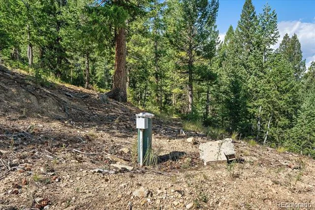 33844 Bergen View Trail Evergreen, CO 80439