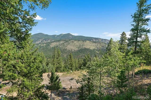 33844 Bergen View Trail Evergreen, CO 80439