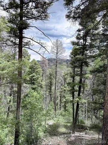 6031 Bruce Road Fort Garland, CO 81133