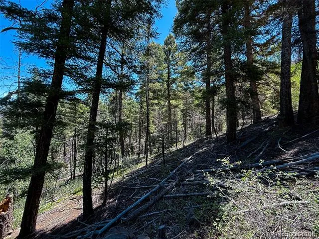 6031 Bruce Road Fort Garland, CO 81133