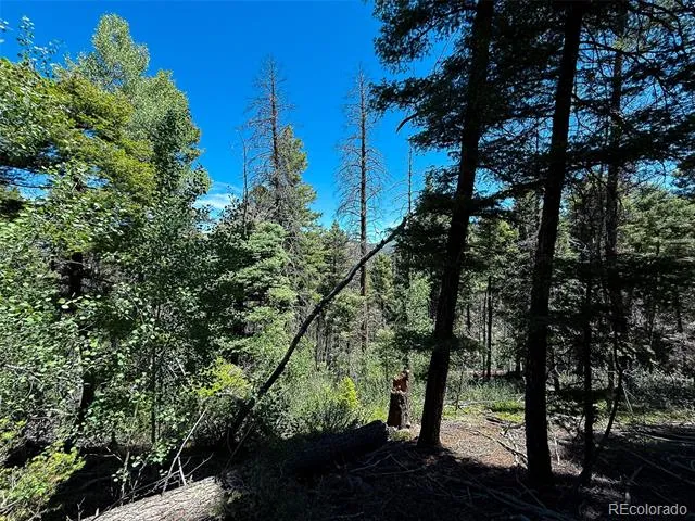 6031 Bruce Road Fort Garland, CO 81133