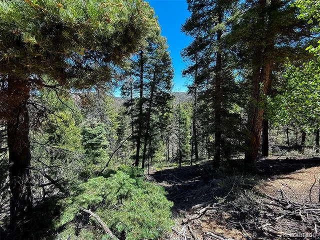 6031 Bruce Road Fort Garland, CO 81133