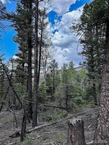 6031 Bruce Road Fort Garland, CO 81133