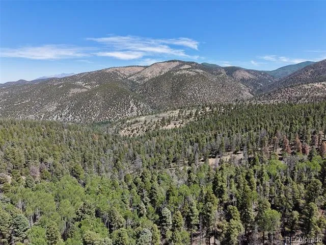 6031 Bruce Road Fort Garland, CO 81133