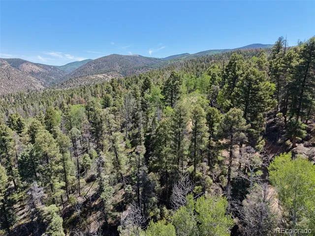 6031 Bruce Road Fort Garland, CO 81133