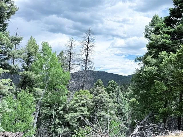 6031 Bruce Road Fort Garland, CO 81133