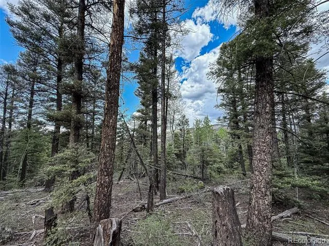 6031 Bruce Road Fort Garland, CO 81133