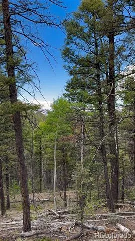 6031 Bruce Road Fort Garland, CO 81133