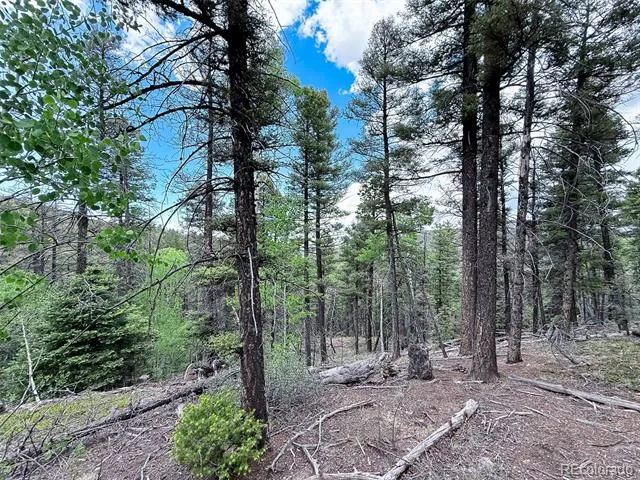6031 Bruce Road Fort Garland, CO 81133