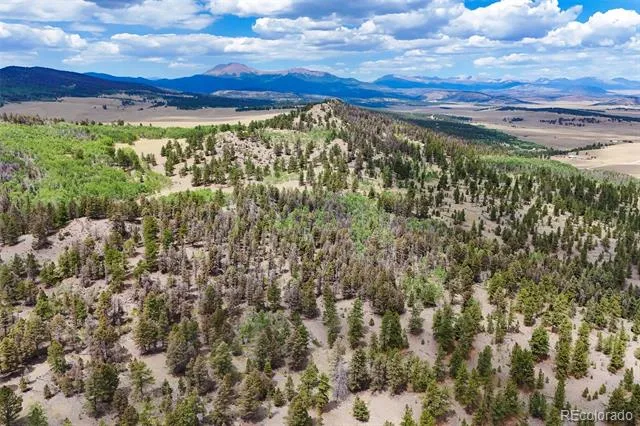 6037 Ranch Road Hartsel, CO 80449