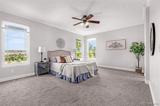 9135 Chetwood Drive Colorado Springs, CO 80920