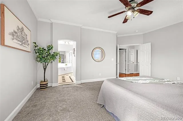 9135 Chetwood Drive Colorado Springs, CO 80920
