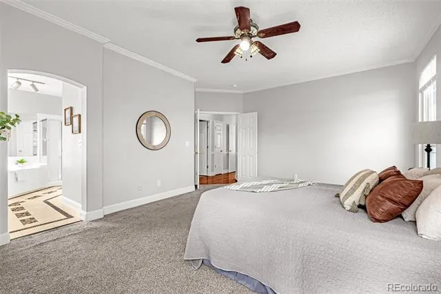9135 Chetwood Drive Colorado Springs, CO 80920