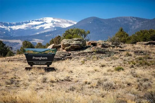 1080 Pronghorn Trail Del Norte, CO 81132