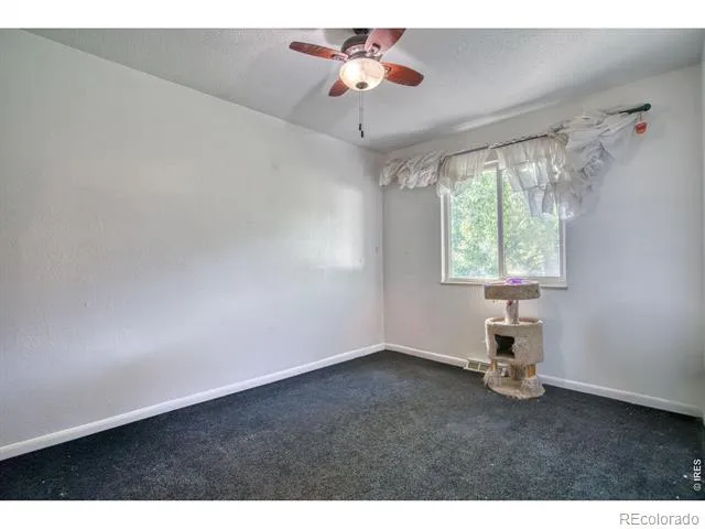310 Stockton Street Gilcrest, CO 80623