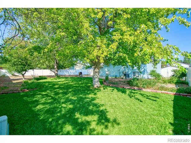 310 Stockton Street Gilcrest, CO 80623