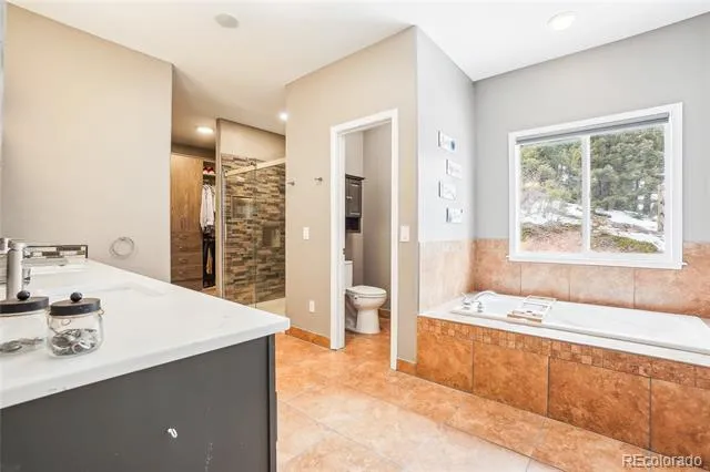 13084 Deer Ridge Way Larkspur, CO 80118