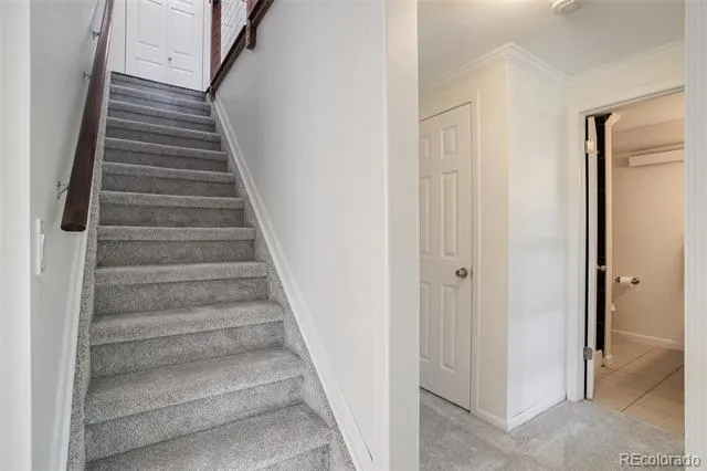 1613 Secrest Street Golden, CO 80401
