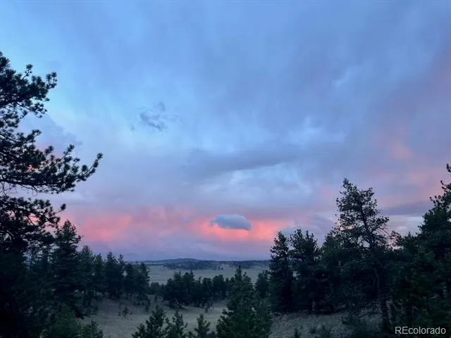 183 Muir Woods Trail Hartsel, CO 80449