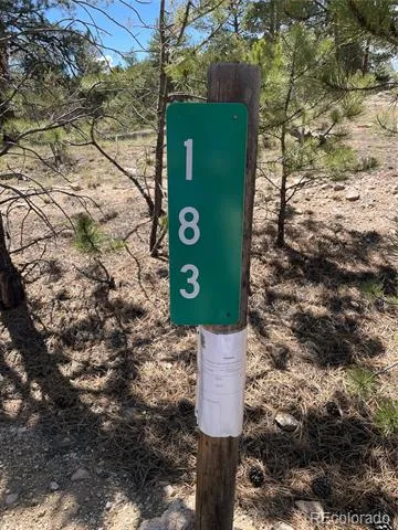 183 Muir Woods Trail Hartsel, CO 80449