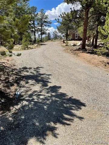 183 Muir Woods Trail Hartsel, CO 80449
