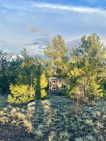 183 Muir Woods Trail Hartsel, CO 80449