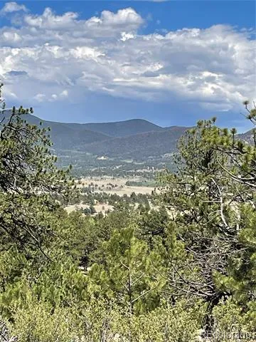 183 Muir Woods Trail Hartsel, CO 80449