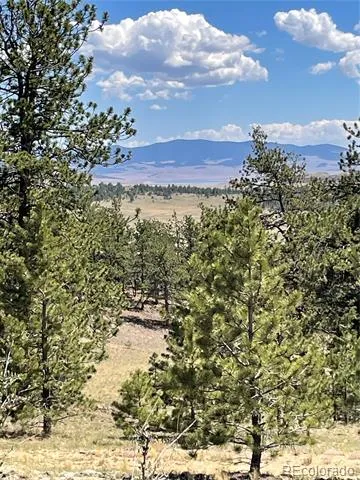 183 Muir Woods Trail Hartsel, CO 80449