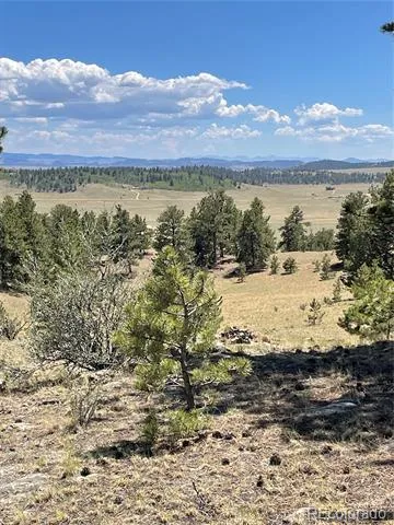 183 Muir Woods Trail Hartsel, CO 80449