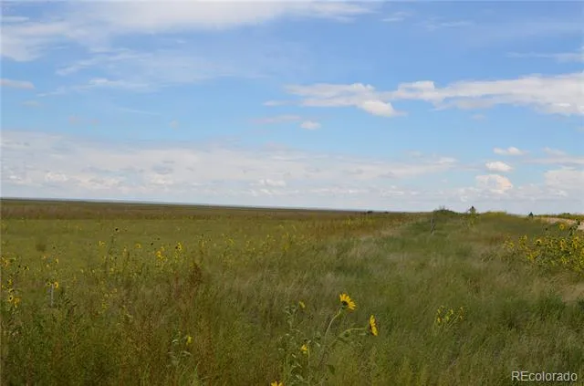 Parcel 7 County Rd V Rush, CO 80833