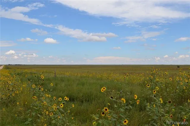 Parcel 7 County Rd V Rush, CO 80833