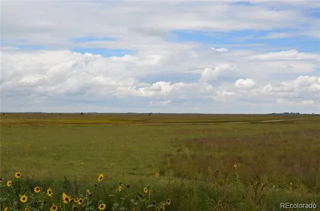 Parcel 7 County Rd V Rush, CO 80833