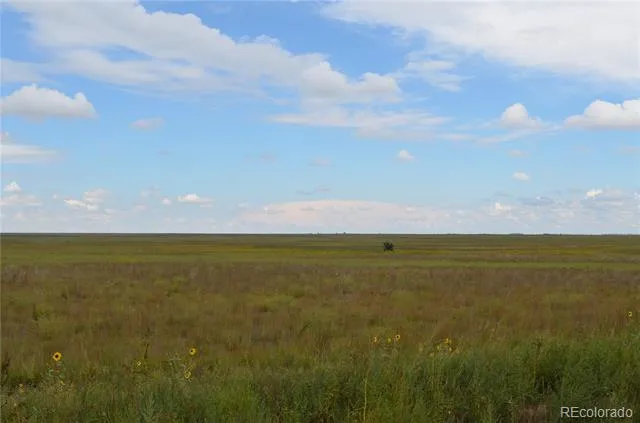 Parcel 7 County Rd V Rush, CO 80833