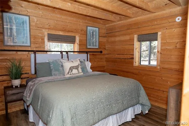 1001 CR 17 #Aspen Cabin Lake City, CO 81235