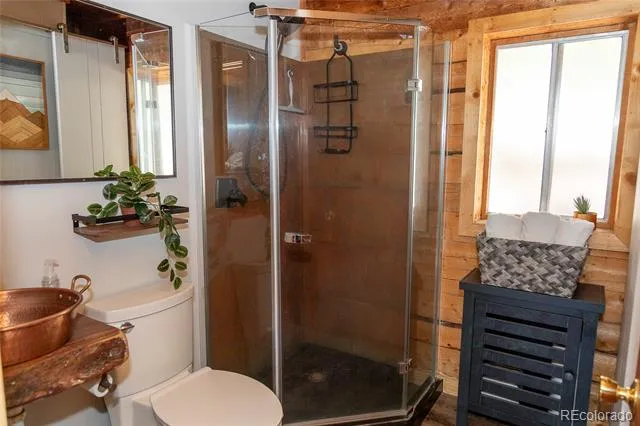 1001 CR 17 #Aspen Cabin Lake City, CO 81235